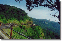 Amboli
